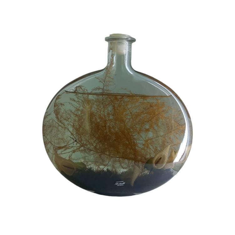 Bottelli Bottiglia Decorativa con Olio composizione Floreale H.24x24 cm