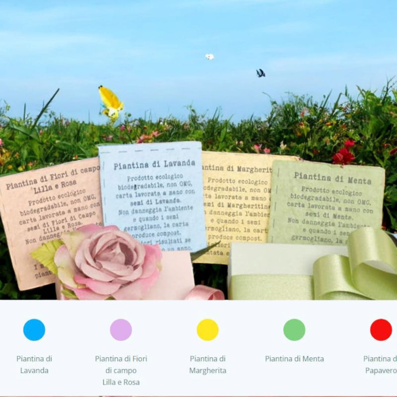 Carta semi piantabile con confetti gluten free