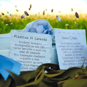 Carta semi piantabile con confetti gluten free