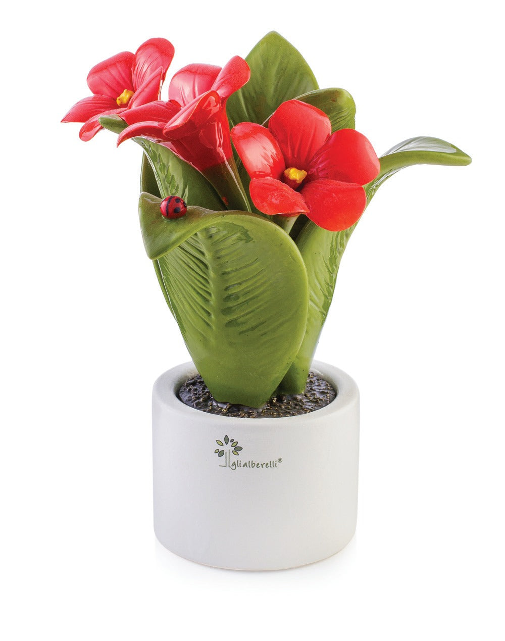 Gli Alberelli Piante Natura 16x25,5 cm Calla Ortensia Ibiscus Giacinto Mandevilla in Ceramica di Capodimonte Made In Italy 0903