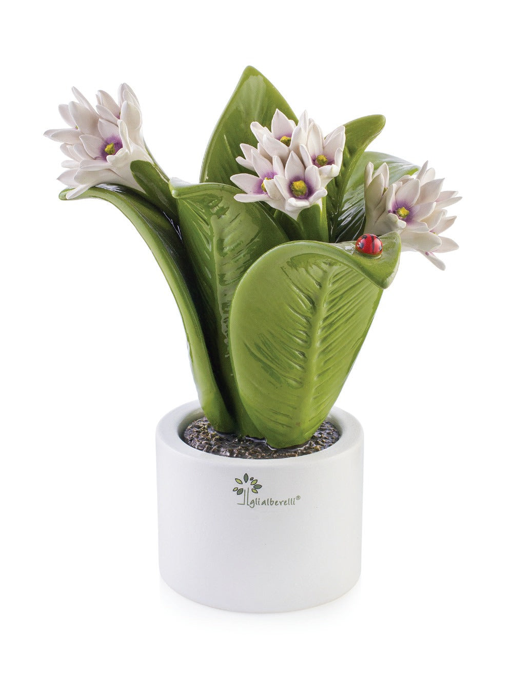 Gli Alberelli Piante Natura 16x25,5 cm Calla Ortensia Ibiscus Giacinto Mandevilla in Ceramica di Capodimonte Made In Italy 0903
