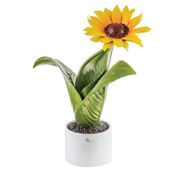 Gli Alberelli Piante Natura 34x51 cm Margherita Papavero Girasole in Ceramica di Capodimonte Made In Italy
