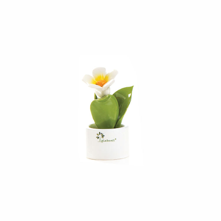 Gli Alberelli – Piante Natura 6x14 cm in Capodimonte (Fiori Vari)