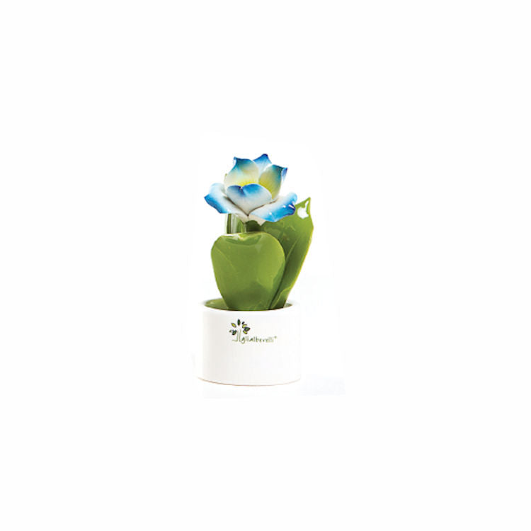 Gli Alberelli – Piante Natura 6x14 cm in Capodimonte (Fiori Vari)