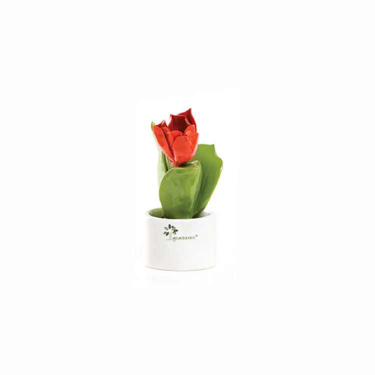 Gli Alberelli – Piante Natura 6x14 cm in Capodimonte (Fiori Vari)