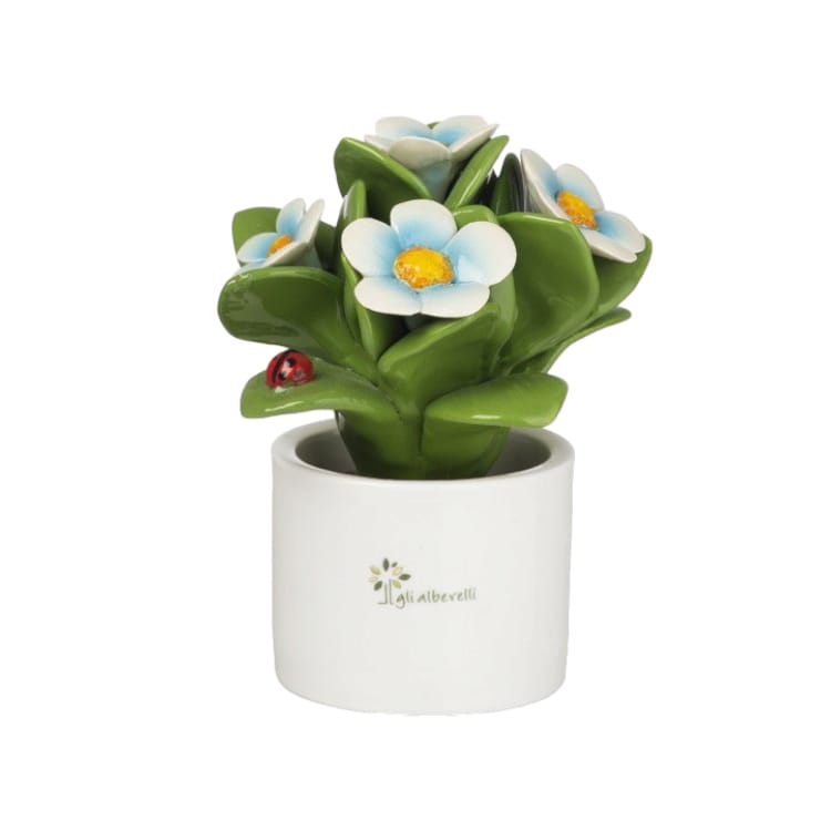 Gli Alberelli Piante Natura 9x14 cm in Capodimonte Made In Italy 0916 Multifrutta e Fiori