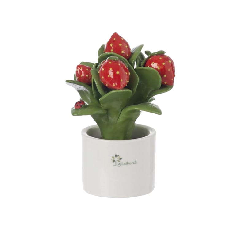 Gli Alberelli Piante Natura 9x14 cm in Capodimonte Made In Italy 0916 Multifrutta e Fiori