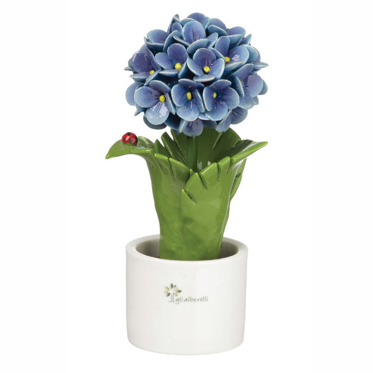 Gli Alberelli – Piantina Foglia Ortensia 10x18 cm in Capodimonte (Colori Vari)