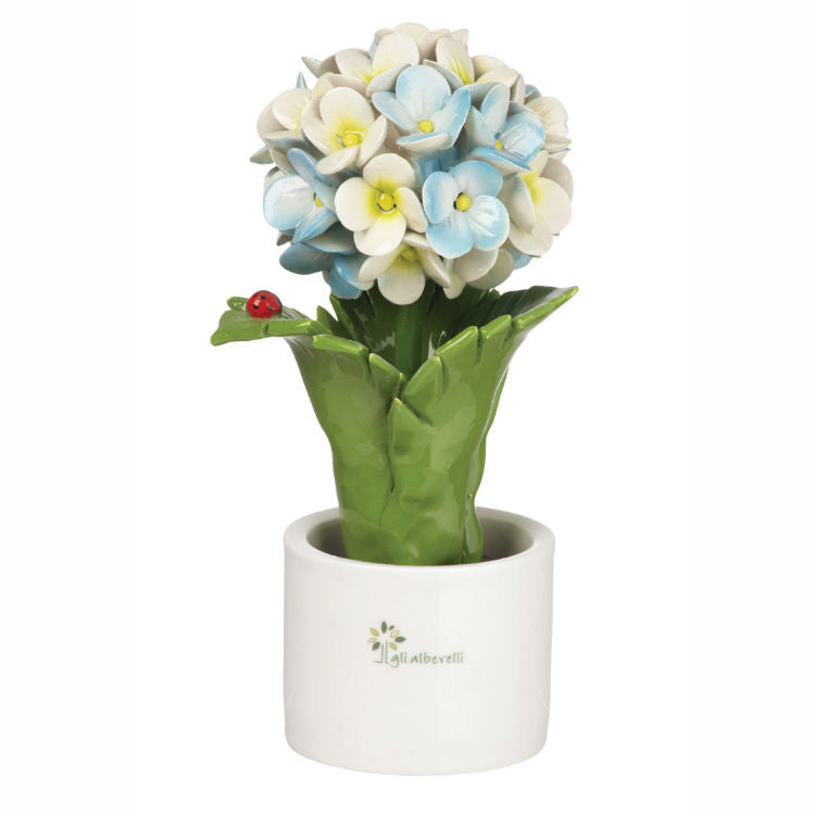 Gli Alberelli – Piantina Foglia Ortensia 10x18 cm in Capodimonte (Colori Vari)