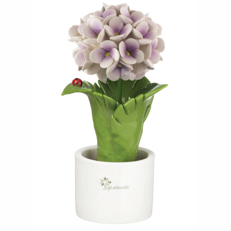 Gli Alberelli – Piantina Foglia Ortensia 10x18 cm in Capodimonte (Colori Vari)