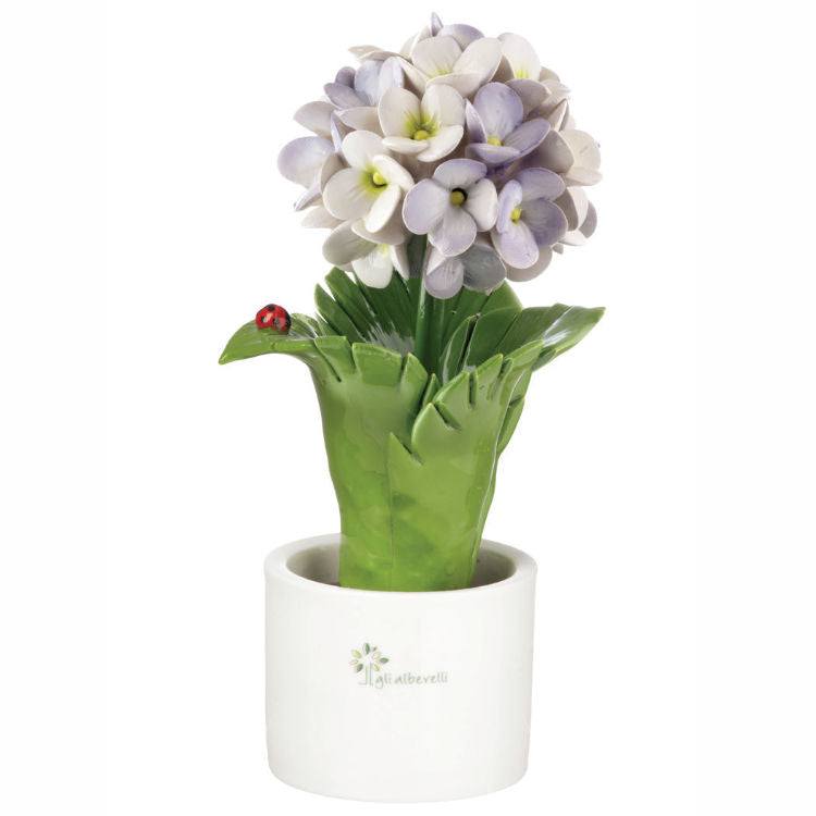 Gli Alberelli – Piantina Foglia Ortensia 10x18 cm in Capodimonte (Colori Vari)