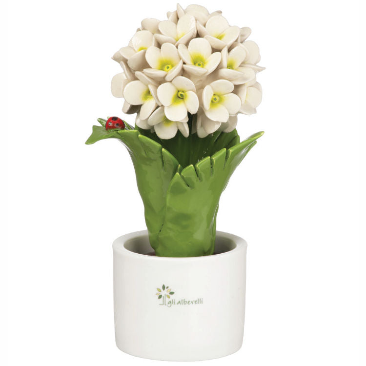 Gli Alberelli – Piantina Foglia Ortensia 10x18 cm in Capodimonte (Colori Vari)