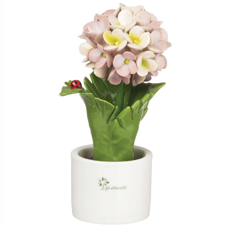 Gli Alberelli – Piantina Foglia Ortensia 10x18 cm in Capodimonte (Colori Vari)