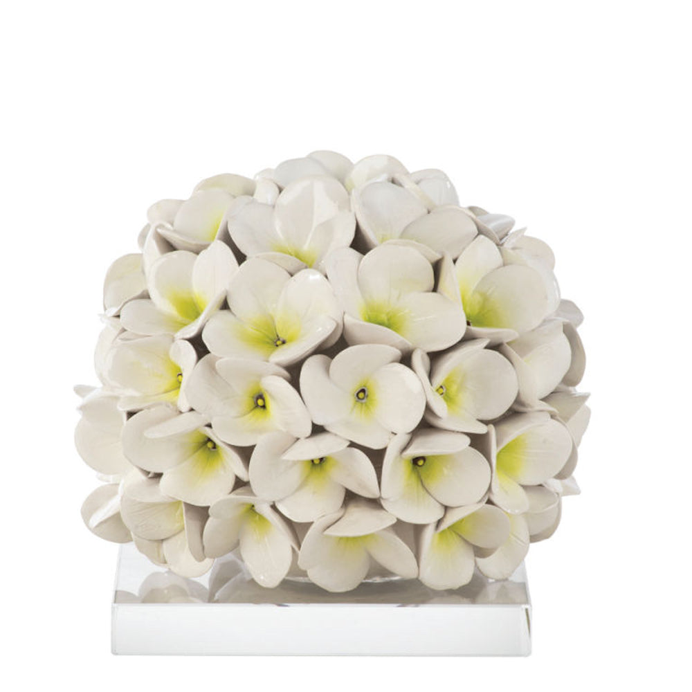 Capodimonte Hydrangea Leaf Plant 18cm with Base