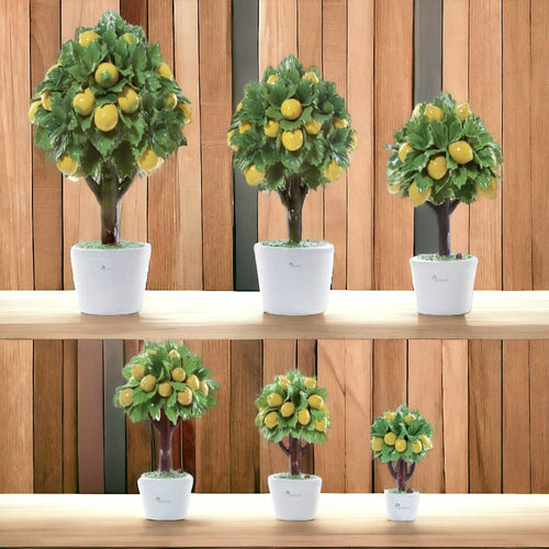 Gli Alberelli Albero Limoni Ceramica Capodimonte Varie Misure