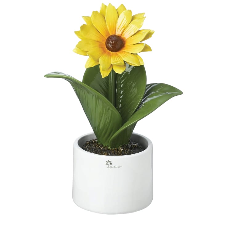 Gli Alberelli Pianta Natura Ceramica Capodimonte 27x38 cm Girasole e Ortensia