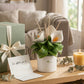 Gli Alberelli Diffusore Fiori Ceramica Capodimonte 16x13 cm Calle