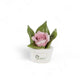 Gli Alberelli Le Profumine Assortite Cm. 8X10 in Ceramica di Capodimonte 0159R