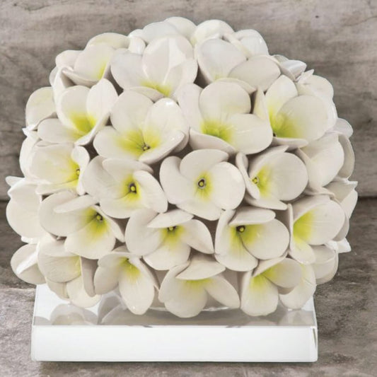 Gli Alberelli Piantina Foglia Ortensia 18cm con Base in Capodimonte Bianca