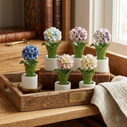 Gli Alberelli Piantina Foglia Ortensia Capodimonte 10x18 cm