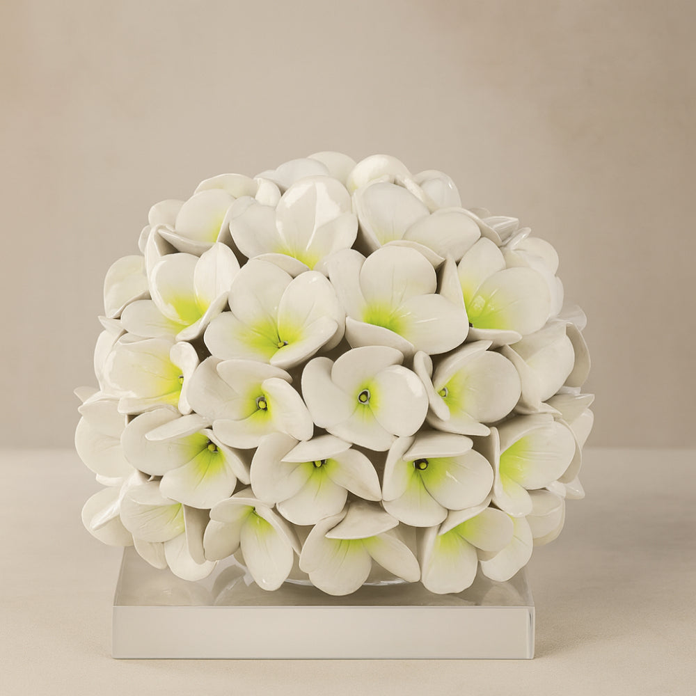 Gli Alberelli Piantina Foglia Ortensia Capodimonte 18 cm Bianca
