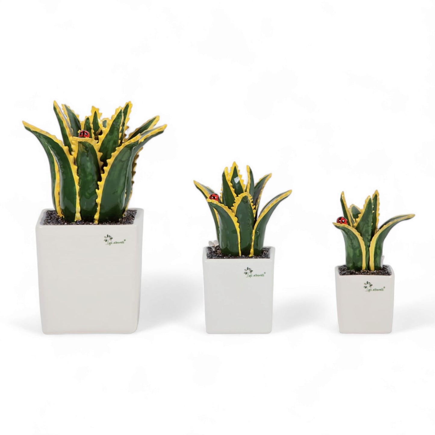 Gli Alberelli Piantina Grassa Aloe Vera 33/23/18