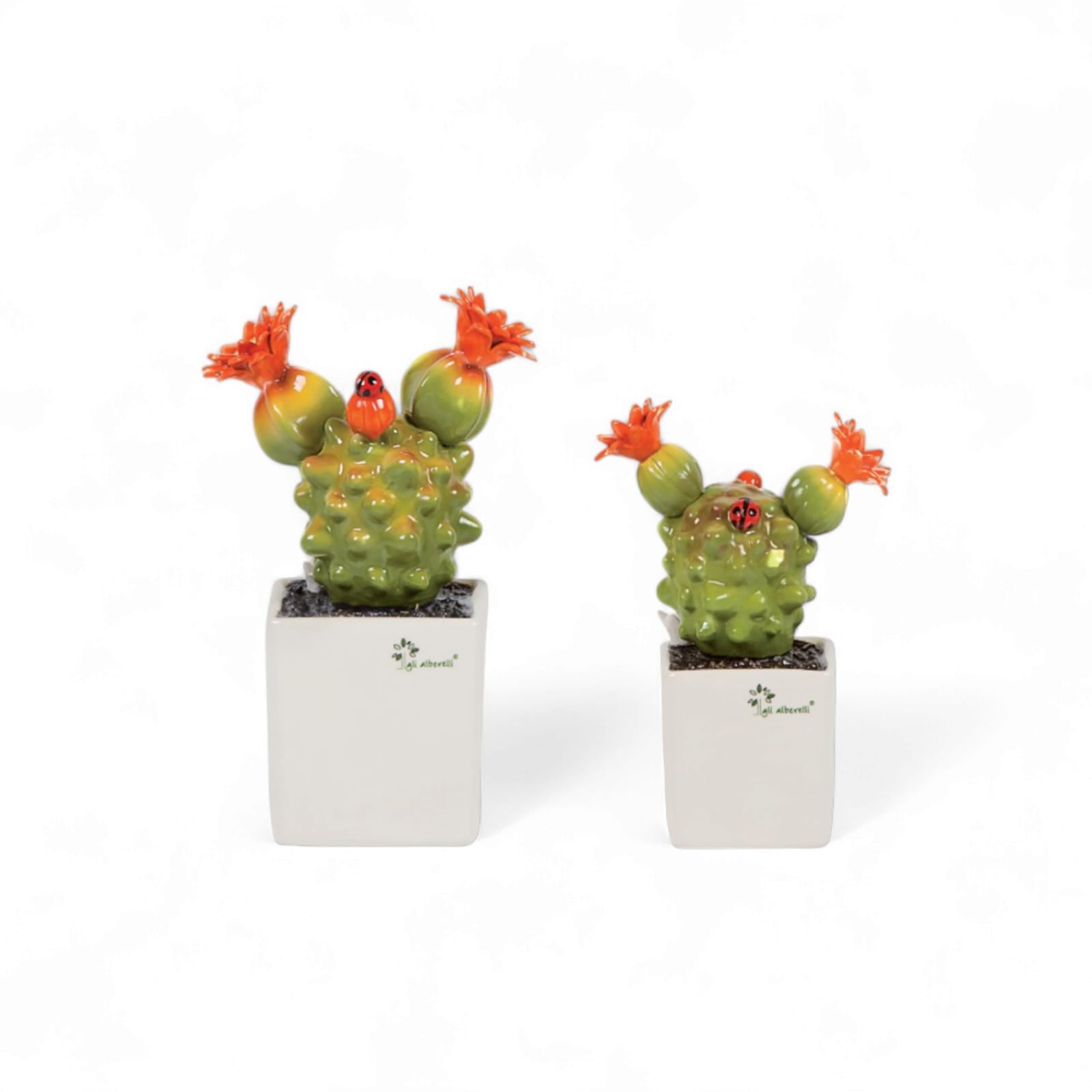 Gli Alberelli Piantina Grassa con Fiore Orange 33/23/18 (Copy)