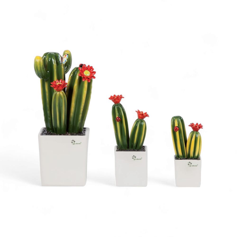 Gli Alberelli Piantina Grassa con Fiore Rosso 33/23/18