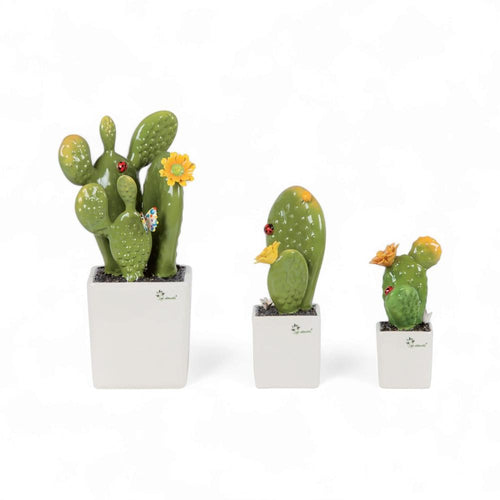 Gli Alberelli Piantina Grassa con Fiore Yellow 33/23/18