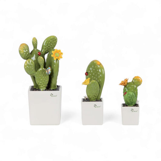 Gli Alberelli Piantina Grassa con Fiore Yellow 33/23/18
