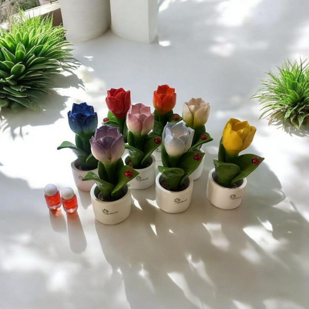 Gli Alberelli Piantina Natura Tulipani Ceramica Capodimonte H14,5x6 cm