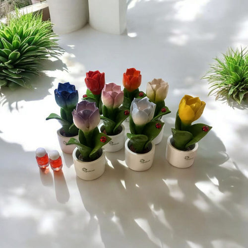 Gli Alberelli Piantina Natura Tulipani Ceramica Capodimonte H14,5x6 cm