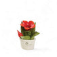 Gli Alberelli Profumine Le Profumotte Cm 12X14 in Ceramica di Capodimonte Made In Italy 0160 I