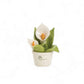 Gli Alberelli Profumine Le Profumotte Cm 12X14 in Ceramica di Capodimonte Made In Italy 0160 c
