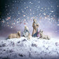 Nao Set 3/5 pz Sacra Famiglia componibile  Nativita' Nativity in fine Porcellana  Lladro