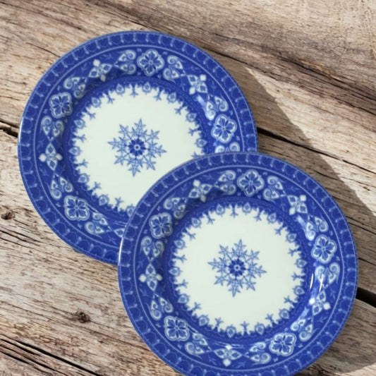 Palais Royal – Coppia 2 Piatti Decorativi Blu Floreale da Parete o Piattaia – Collezione Bleu