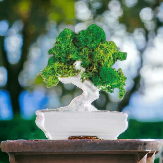 Sharon Bonsai Avorio Kokeshi In Porcellana dipinta a Mano 12cm