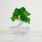 Sharon bonsai kokeshi avorio in porcellana dipinta H 13 cm