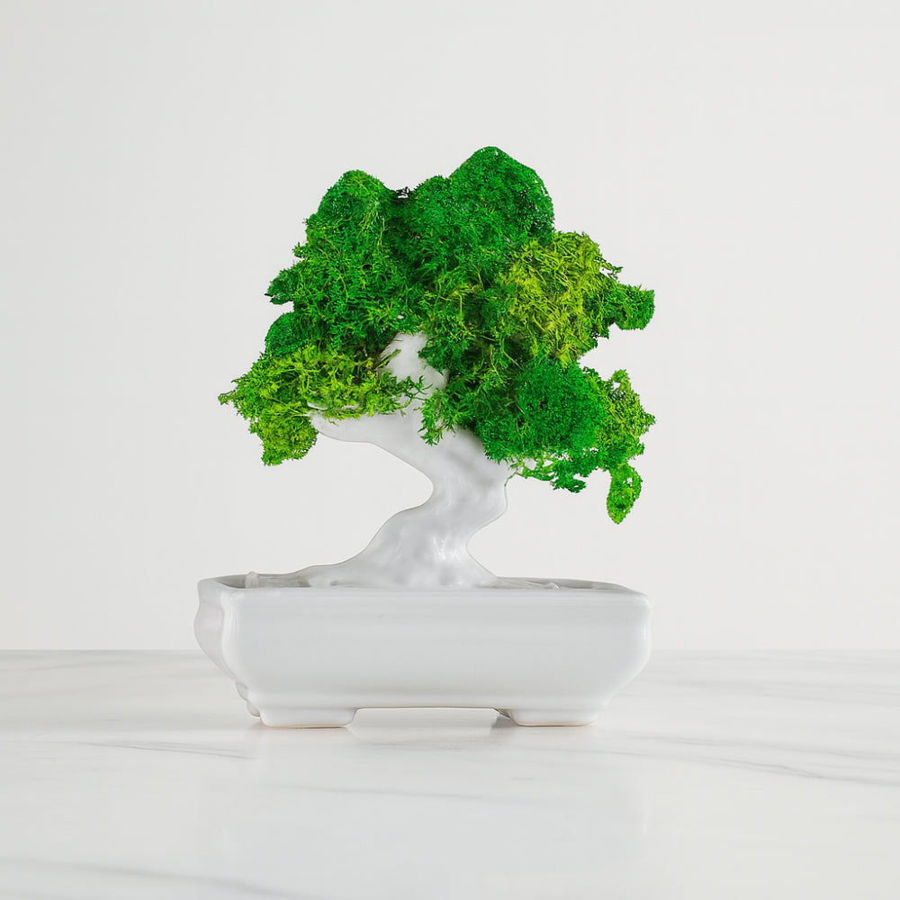Sharon bonsai kokeshi avorio in porcellana dipinta H 13 cm