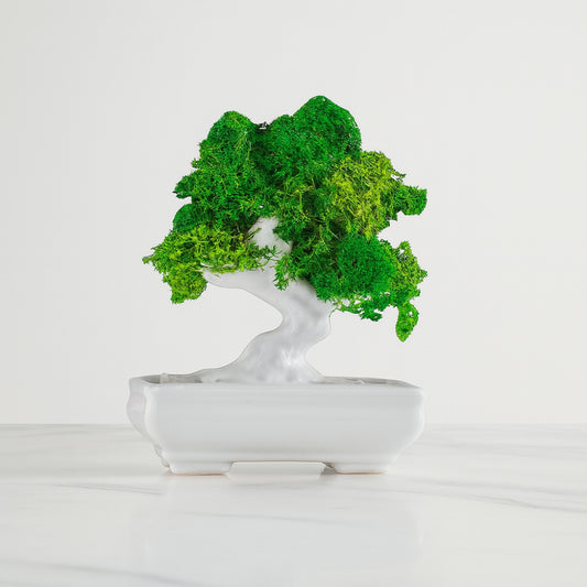 Sharon bonsai kokeshi avorio in porcellana dipinta H 13 cm