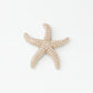  Stella marina ceramica Rosa Ceramiche tortora decorazione parete 12 cm 